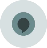 Alexa integration